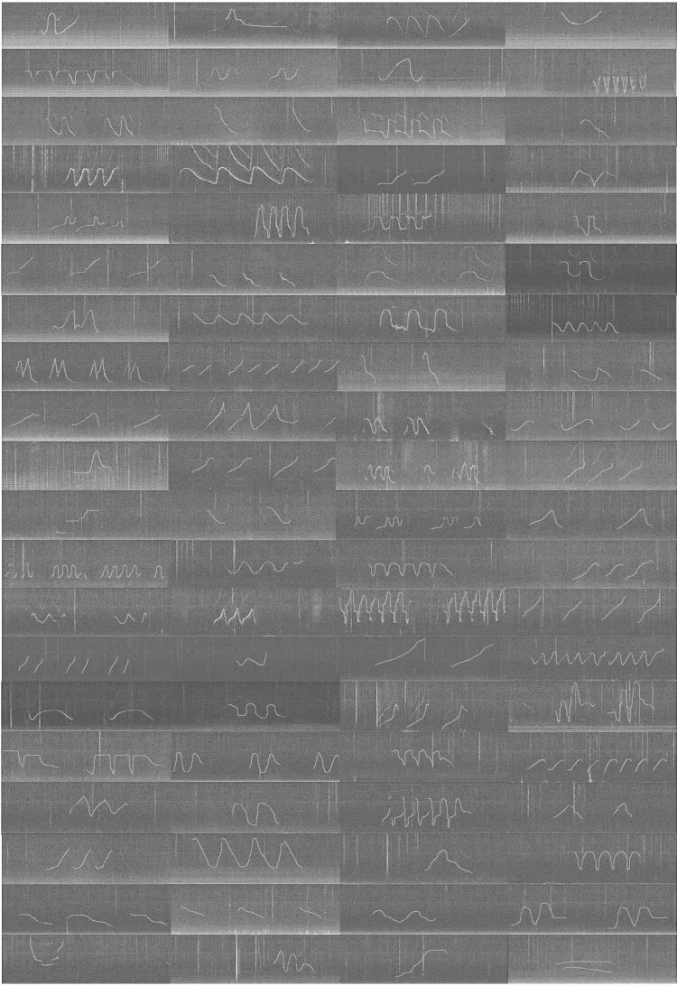 Abstract Image
