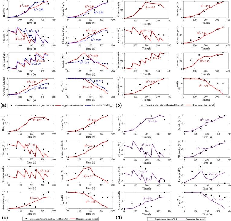 A Multi Clone Kinetic Model for characterizing Chinese hamster ovary cell line variability.