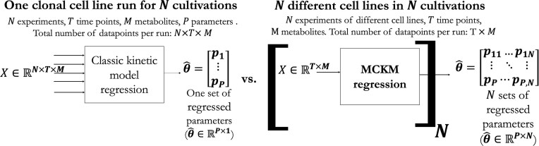A Multi Clone Kinetic Model for characterizing Chinese hamster ovary cell line variability.