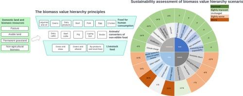 Transforming the food system with a biomass value hierarchy: Sustainability and policy insights