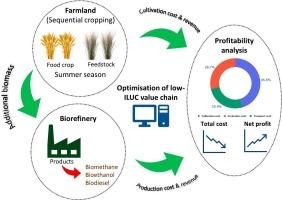 Modelling and optimisation of low-indirect land used change biomass supply chains