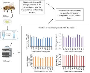 Impact of environmental factors on Apis dorsata (giant Asian honeybee) venom in Bandarawela, Sri Lanka