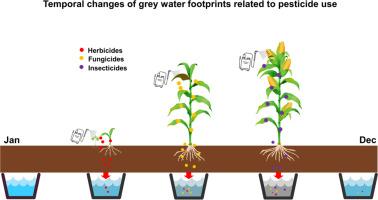 Spatial and temporal grey water footprints of agricultural pesticide use: Improved pesticide use options to decrease water pollution in China