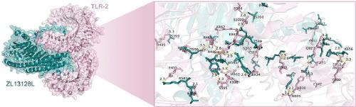 Leveraging computer-aided design and artificial intelligence to develop a next-generation multi-epitope tuberculosis vaccine candidate