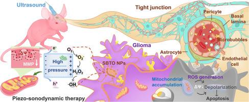 An ultrasound-activated piezoelectric sonosensitizer enhances mitochondrial depolarization for effective treatment of orthotopic glioma