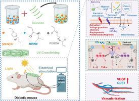 Oxygen-generating hydrogels combined with electrical stimulation: A dual approach for promoting diabetic wound healing