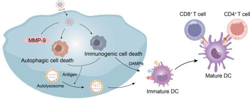 Synergizing autophagic cell death and oxaliplatin-induced immunogenic death by a self-delivery micelle for enhanced tumor immunotherapy