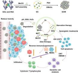 A multifunctional cascade gas-nanoreactor with MnO2 as a gatekeeper to enhance starvation therapy and provoke antitumor immune response