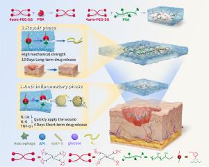 An advanced hydrogel dressing system with progressive delivery and layer-to-layer response for diabetic wound healing