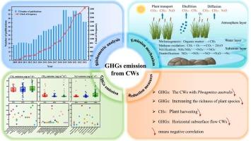 A systematic review on greenhouse gas emissions from constructed wetlands: Focusing on effects of planting strategies and emission reduction measures