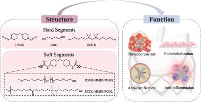 Polymeric artificial heart valves derived from modified diol-based polycarbonate polyurethanes