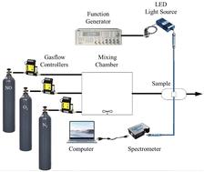 Ratiometric optical dual gas sensor for simultaneous detection of nitric oxide and oxygen intended for healthcare, biological, and biomedical applications