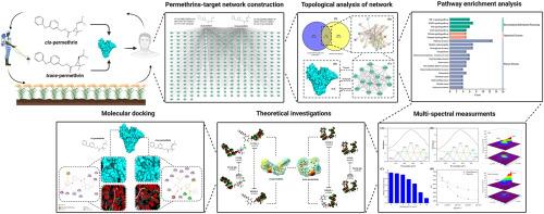 Probing the potential mechanism of permethrin exposure on Alzheimer's disease through enantiomer-specific network toxicology, multi-spectroscopic, and docking approaches