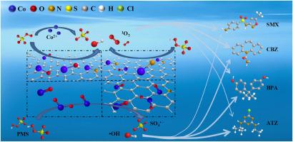 Cobalt doped g-C3N4 activated peroxymonosulfate for organic pollutant degradation: Alterations in cobalt species and reactive oxygen species