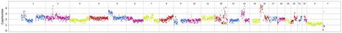 Early Hints of Metagenome Next-Generation Sequencing and Copy Number Variations Analysis: An Occult Case of Leptomeningeal Metastasis With Rapid Cognitive Decline