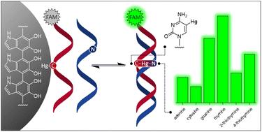 Organomercury oligonucleotide–polydopamine nanoparticle assemblies discriminate between target sequences by Hg(ii)-mediated base pairing†