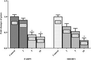 Efect of N-acetylcysteine on HepG2 cells which were induced into fatty liver cells