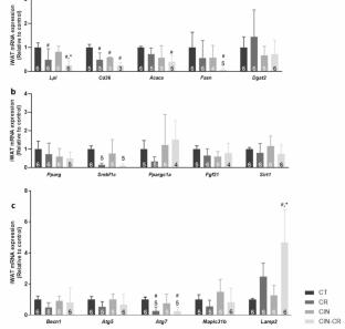 Cinnamon powder intake enhances the effect of caloric restriction on white adipose tissue in male rats