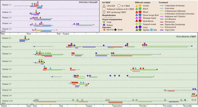 Two outbreak cases involving ST65-KL2 and ST11-KL64 hypervirulent carbapenem-resistant Klebsiella pneumoniae: similarity and diversity analysis