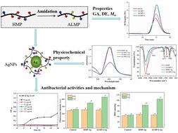 Physicochemical characterization and antibacterial activities of silver nanoparticles prepared by amidated low-methoxyl pectin†