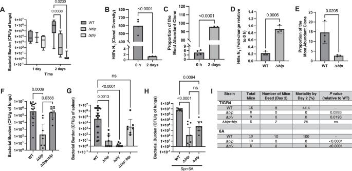 Pneumococcal pneumonia is driven by increased bacterial turnover due to bacteriocin-mediated intra-strain competition