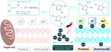 Chemistry and properties of fluorescent pyrazole derivatives: an approach to bioimaging applications†