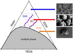 Fabrication of tetraethyl orthosilicate/ethanol–water surfactant-free microemulsions and their applications in self-templating synthesis of monodispersed silica colloidal spheres†