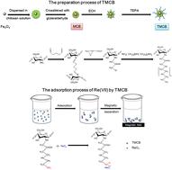 Preparation of a tetraethylenepentamine grafted magnetic chitosan bead for adsorption of Re(vii) from aqueous solutions