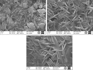 Influence of sulfur concentration on phase formation in SxnSy thin films deposited through nebulizer spray pyrolysis technique