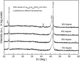 Epitaxial growth of Ca-doped LaRhO3 thin films by chemical solution deposition