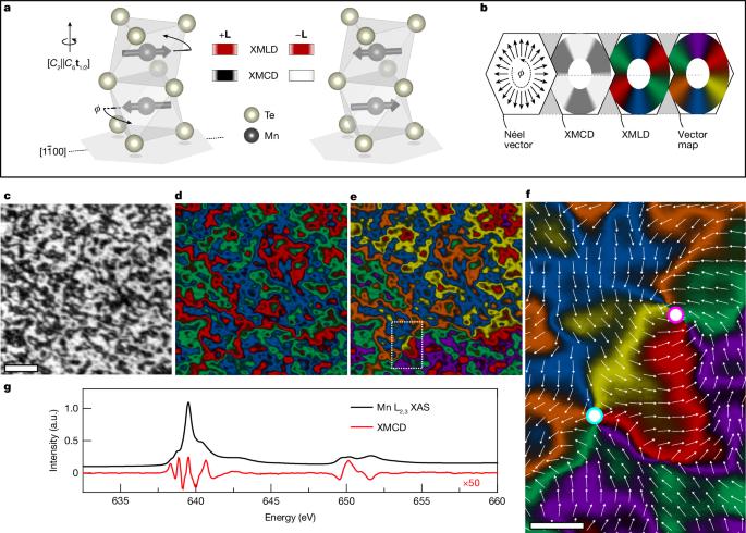 Nanoscale imaging and control of altermagnetism in MnTe