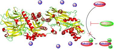 A review of the known MTA-cooperative PRMT5 inhibitors