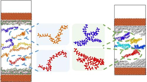 Dynamic Behaviors of Confined Lubricant Molecules Explored via Molecular Dynamics Simulations