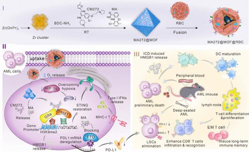 Erythrocyte-Based Biomimetic MOFs as a Triple Epigenetic Regulator for Enhancing Anti-Leukemia Immunity