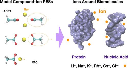 Balancing Group 1 Monoatomic Ion–Polar Compound Interactions in the Polarizable Drude Force Field: Application in Protein and Nucleic Acid Systems