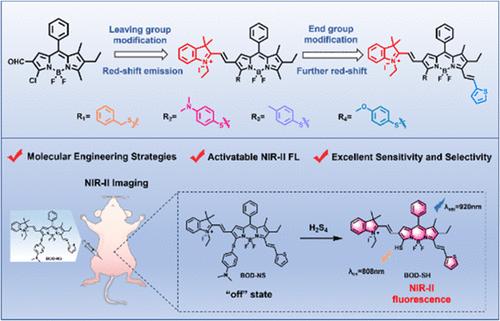 Probing Deep Hydrogen Polysulfides Fluctuations In Vivo by Engineering Activatable Fluorescence Reporters with Second Near-Infrared Window Emission