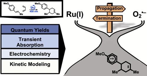Mechanistic Investigation of a Photoredox Cycloaddition Chain Reaction
