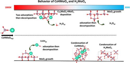 Ab Initio Insight into CsHMoO4 and H2MoO4 Complexes on MoO3 Surfaces