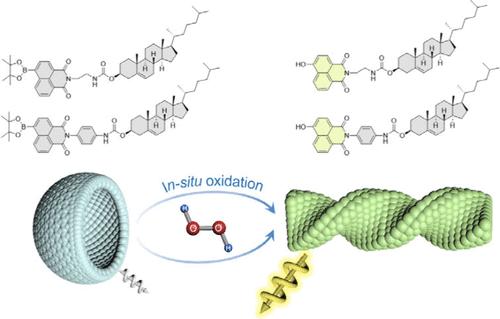 Oxidation Triggered Supramolecular Chirality