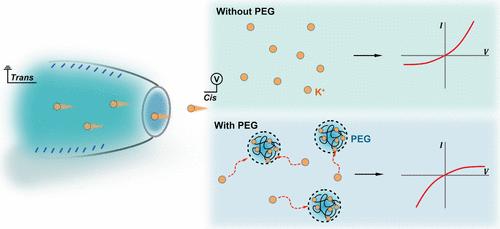 Modulation of Ion Transport in Nanopores Using Polyethylene Glycol