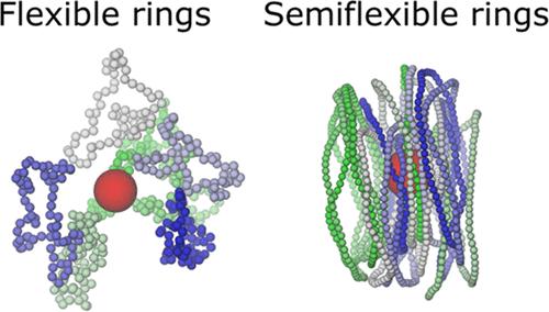 Dynamics of Nanoparticles in Solutions of Semiflexible Ring Polymers