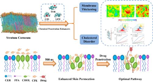 Molecular Insights into the Penetration Enhancement Mechanism of Terpenes to Skin
