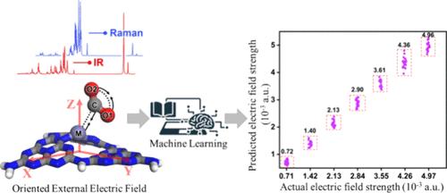 Quantitative Insight into the Electric Field Effect on CO2 Electrocatalysis via Machine Learning Spectroscopy