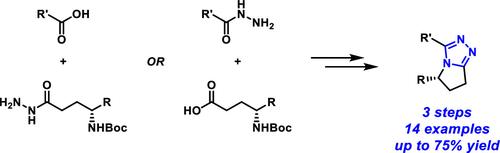 Synthesis of Fused Bicyclic [1,2,4]-Triazoles from Amino Acids