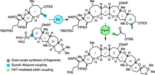 Convergent and Scalable Second-Generation Synthesis of the Fully Functionalized HIJKLMN-Ring Segment of Caribbean Ciguatoxin C-CTX-1