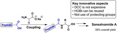 A practical method for the synthesis of small peptides using DCC and HOBt as activators in H2O–THF while avoiding the use of protecting groups†