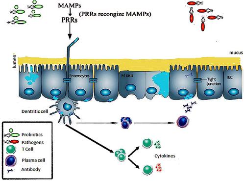 Unlocking Potential Benefits on Applications of Probiotics in Inland Aquaculture Industry: A Review