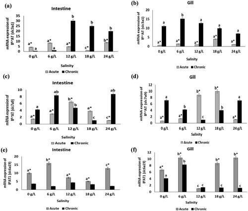 Proteolytic Enzyme Activity and mRNA Expressions of Amino Acid and Peptide Transporter Genes in Tissues of Nile tilapia (Oreochromis niloticus) Exposed to Different Salinities