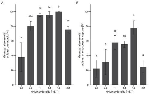 The Effect of Prey Size and Prey Density on Paralarval Feeding Success of the Common Sydney Octopus, Octopus tetricus