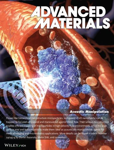 Hierarchical Nanostructures as Acoustically Manipulatable Multifunctional Agents in Dynamic Fluid Flow (Adv. Mater. 50/2024)